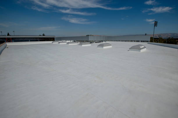 Best Flat Roofing  in Anthem, AZ