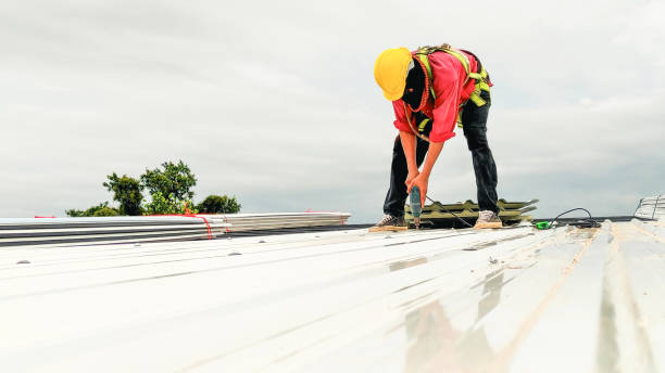 Best Asphalt Shingle Roofing  in Anthem, AZ